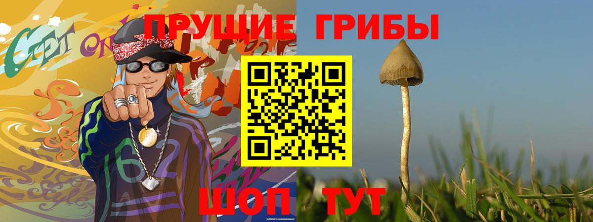 Галлюциногенные грибы GOLDEN TEACHER  Вход с VPN  Псилоцибиновые грибы мухоморы  Норильск 